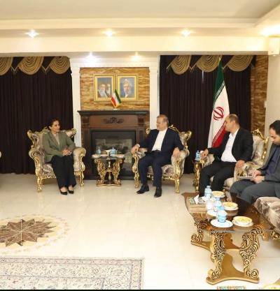 دیدار سرکنسول جمهوری اسلامی ایران با استاندار حلبچه